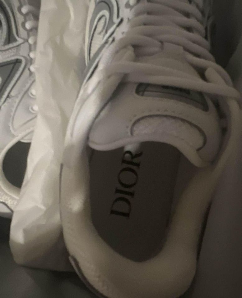 Dior B30 White/Grey